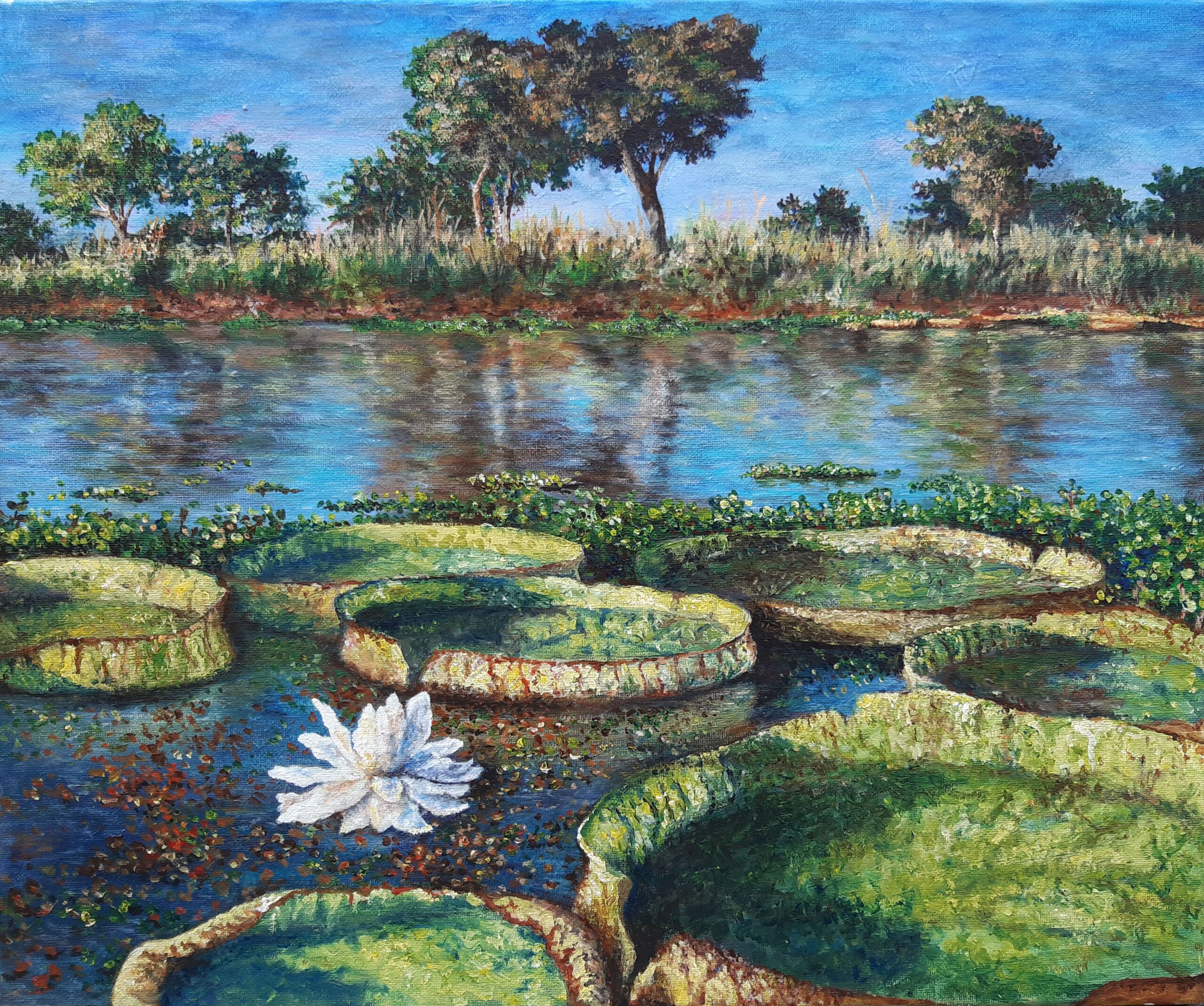 Esteros del Iberá